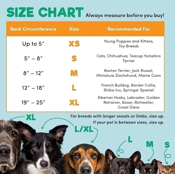 BENCMATE Protective Inflatable Collar for Dogs and Cats - Soft Pet Recovery Lg - Picture 5 of 7